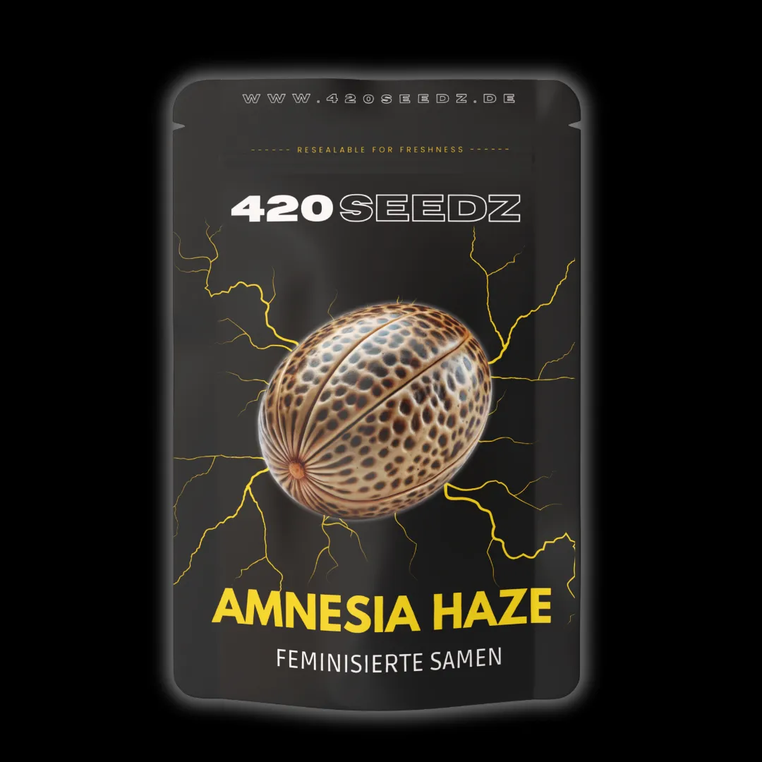 Amnesia Haze – Ansicht 2