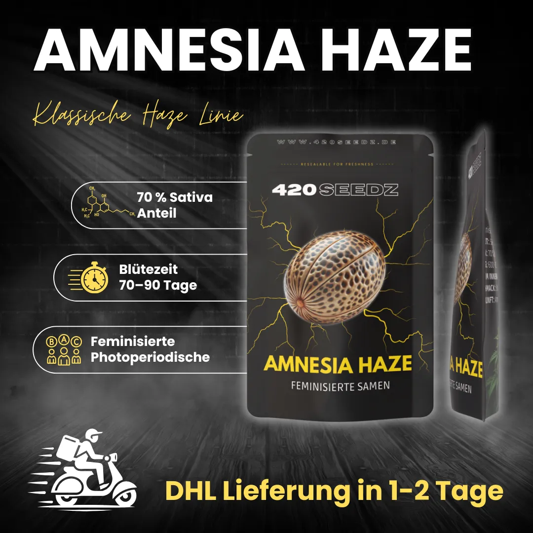 Amnesia Haze – Ansicht 4