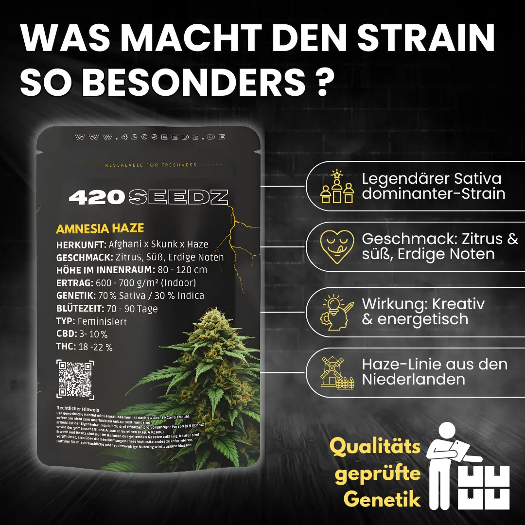 Amnesia Haze – Ansicht 5