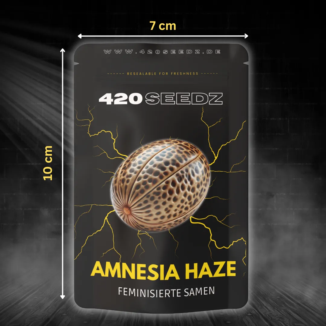 Amnesia Haze – Ansicht 8