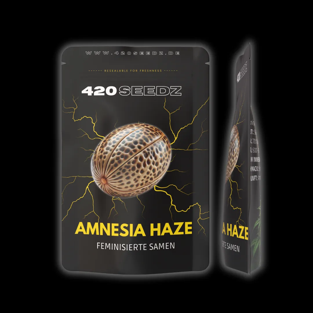 Amnesia Haze – Ansicht 9