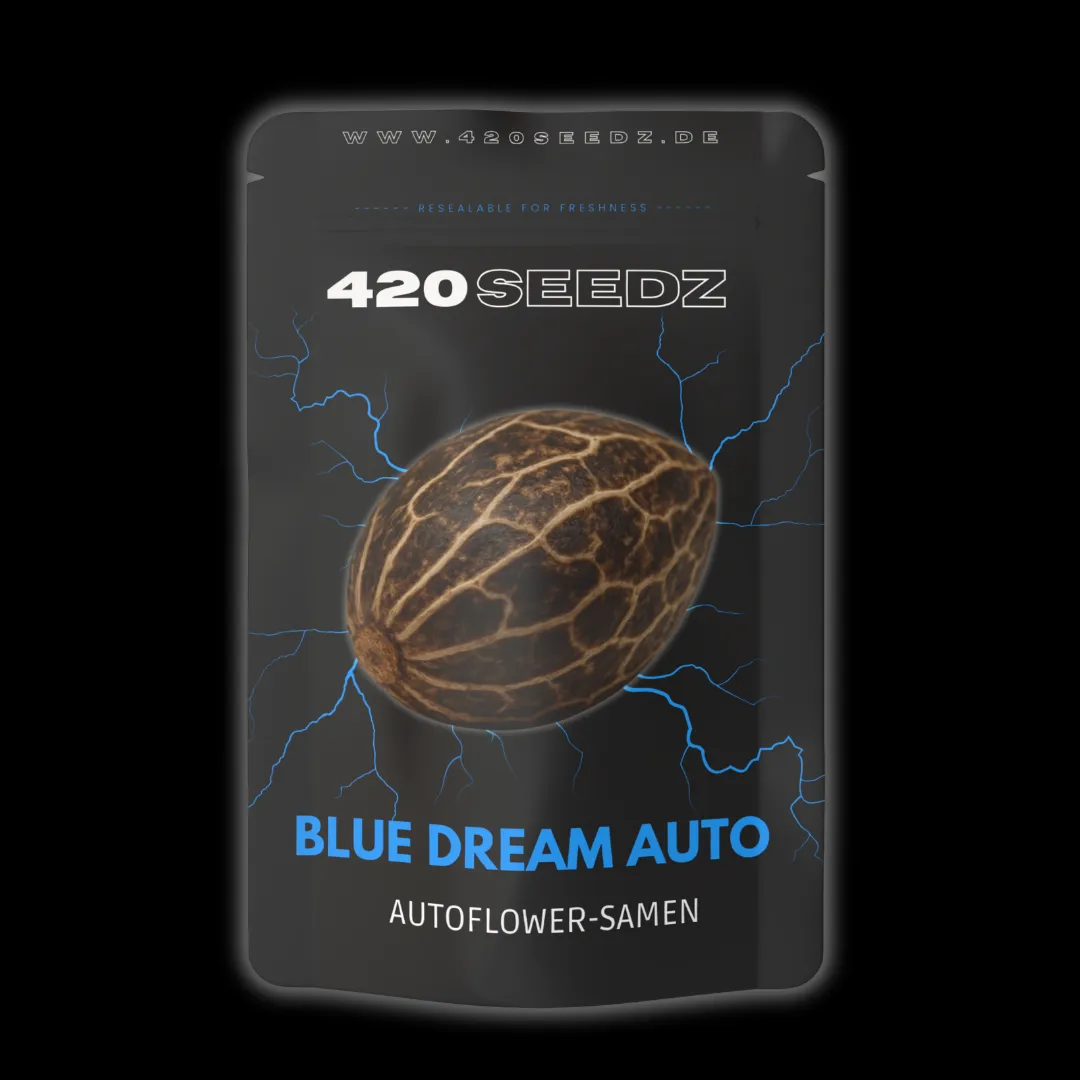Blue Dream Auto – Ansicht 2