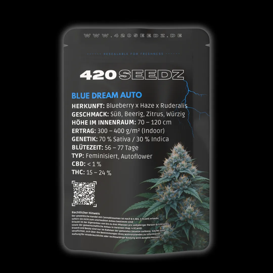 Blue Dream Auto – Ansicht 3