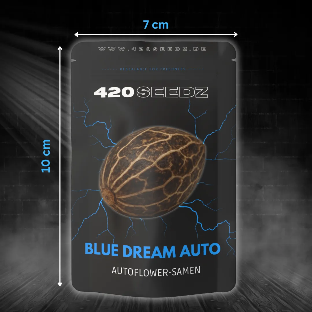 Blue Dream Auto – Ansicht 6