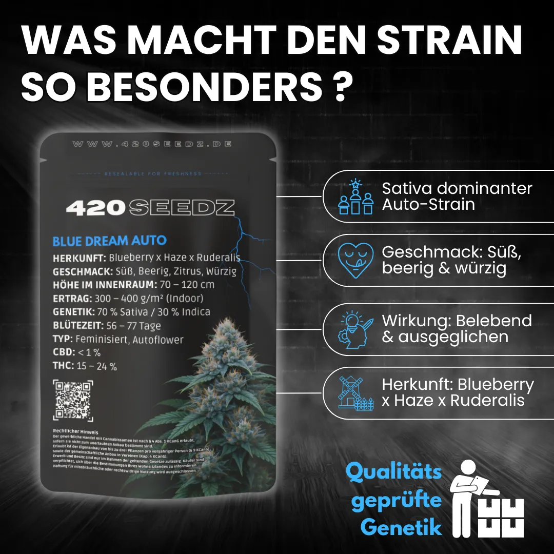 Blue Dream Auto – Ansicht 7