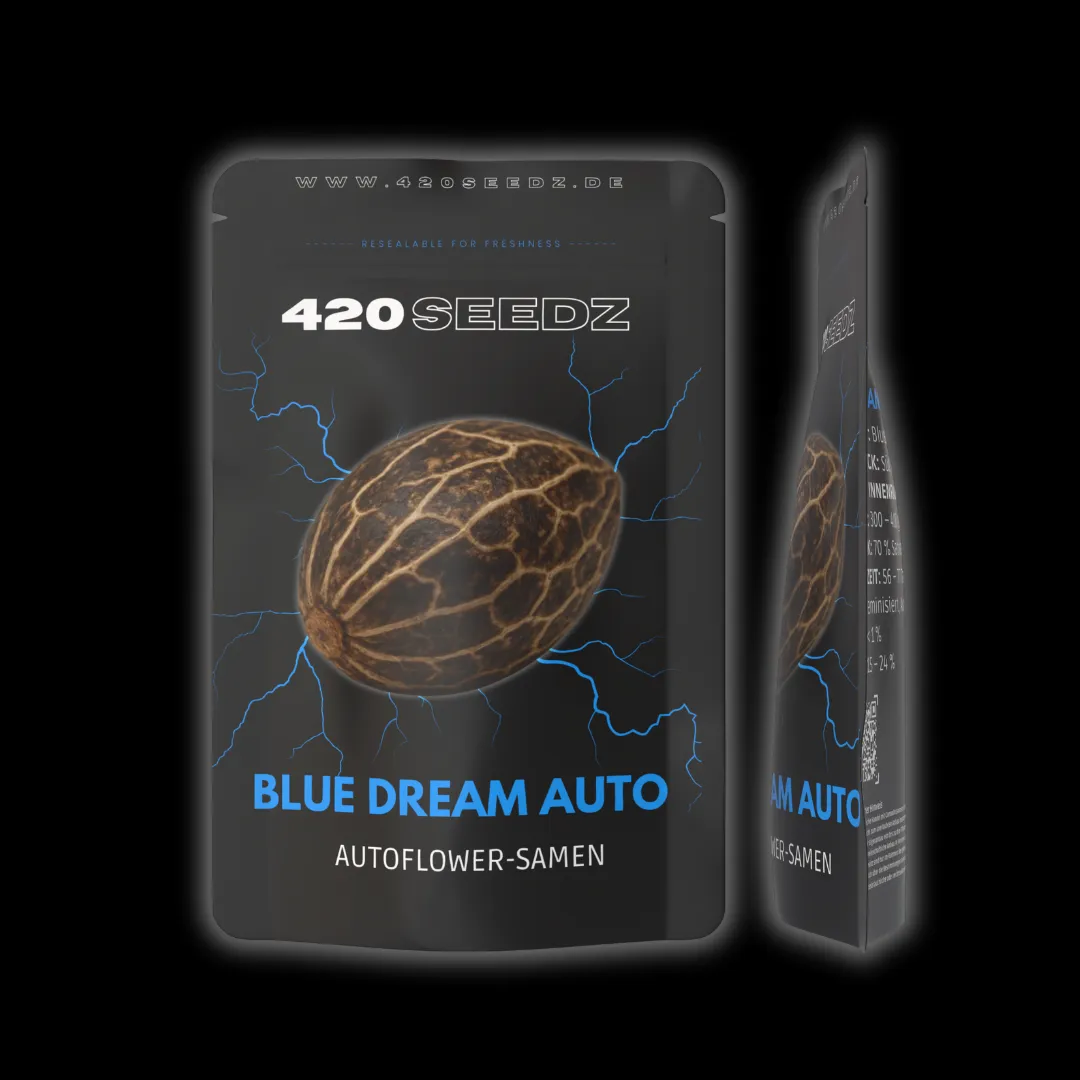 Blue Dream Auto – Ansicht 9