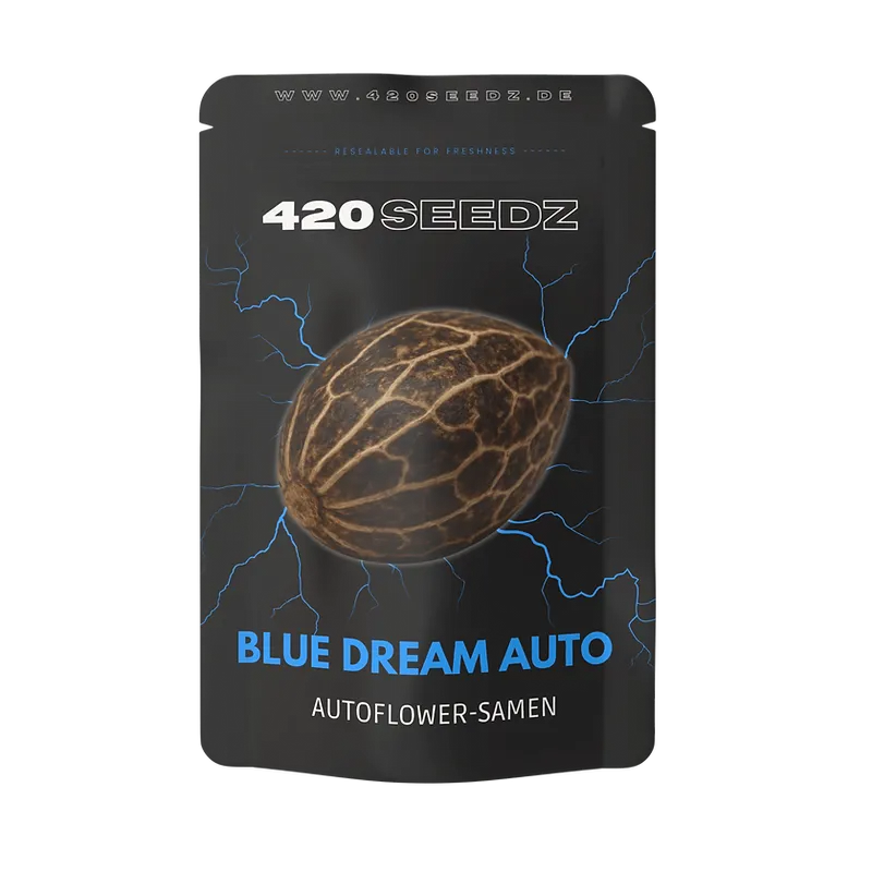 Blue Dream Auto Cannabis Samen – Autoflower von 420Seedz