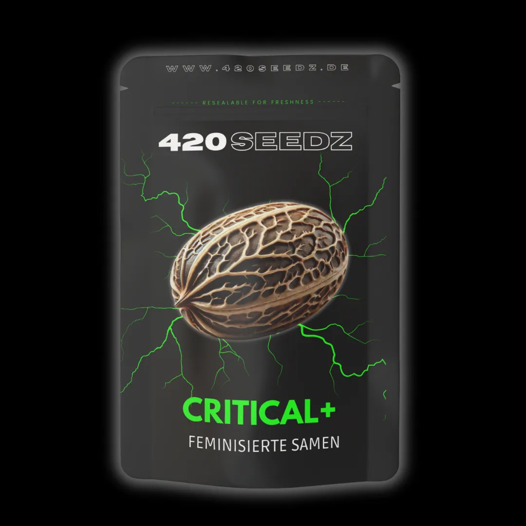 Critical + – Ansicht 2