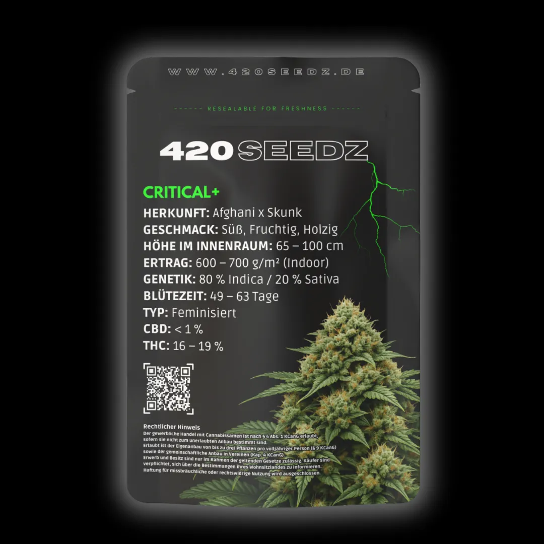 Critical + – Ansicht 3