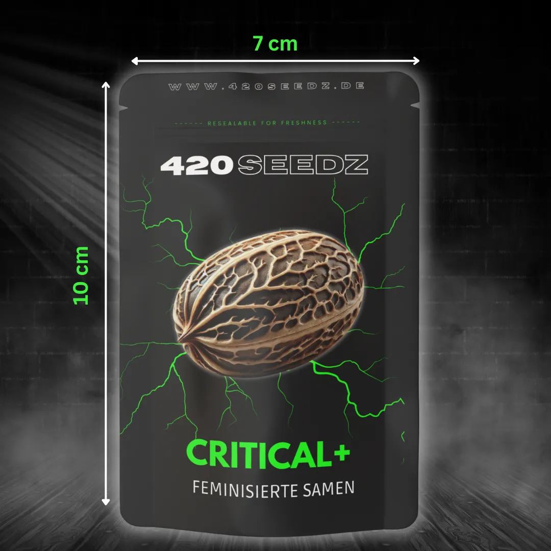 Critical + – Ansicht 6