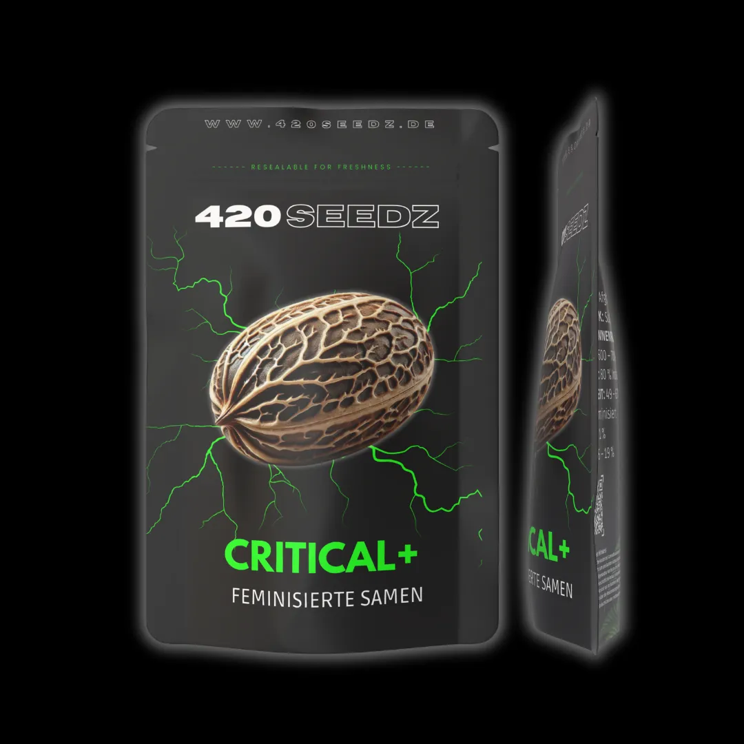 Critical + – Ansicht 9
