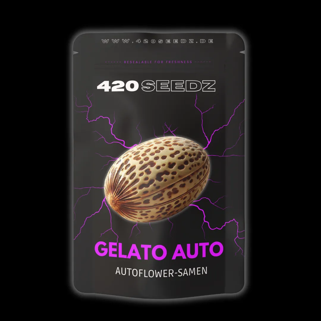 Gelato Auto – Ansicht 2