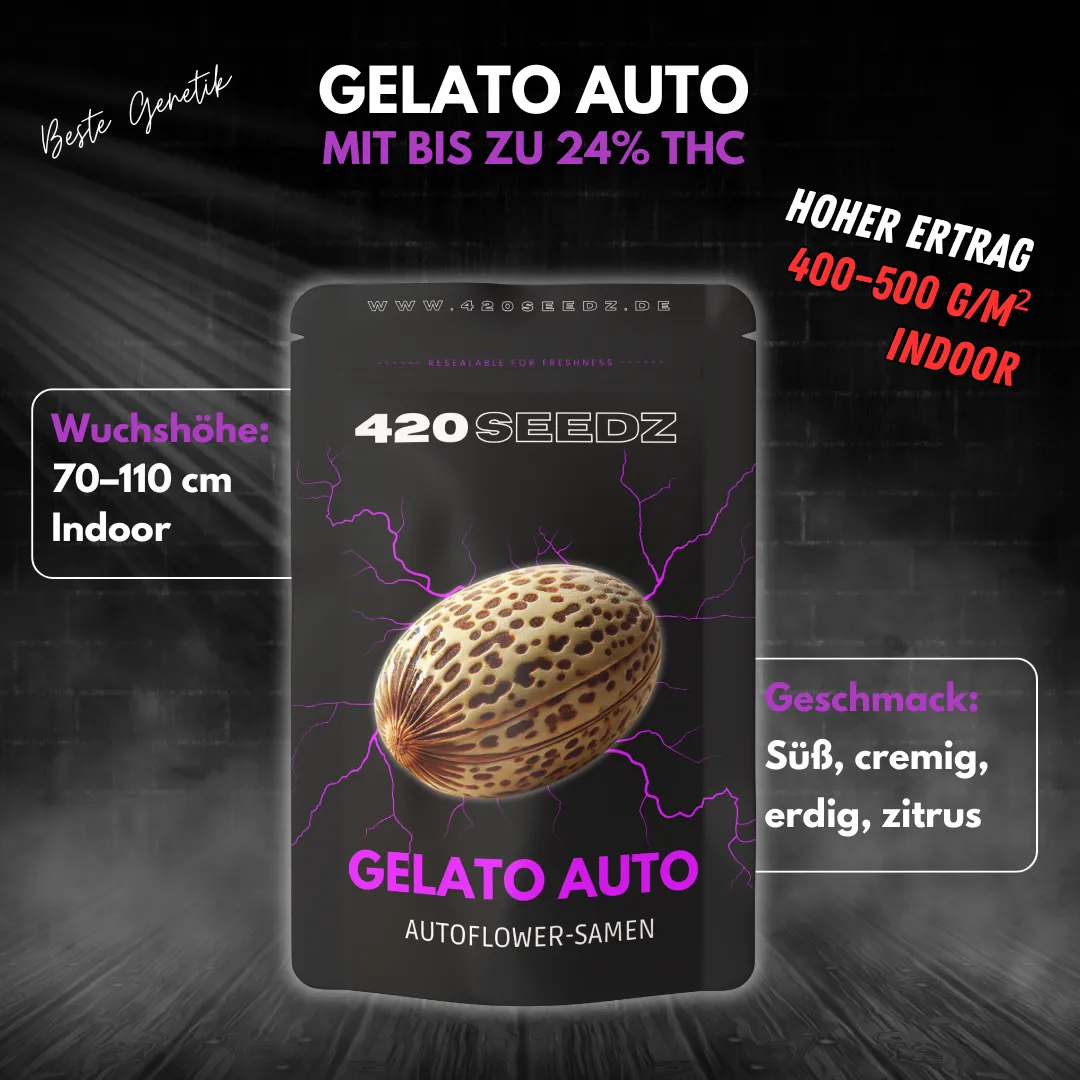 Gelato Auto – Ansicht 4