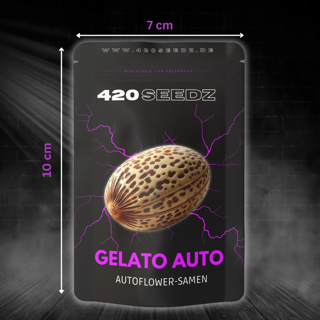 Gelato Auto – Ansicht 5