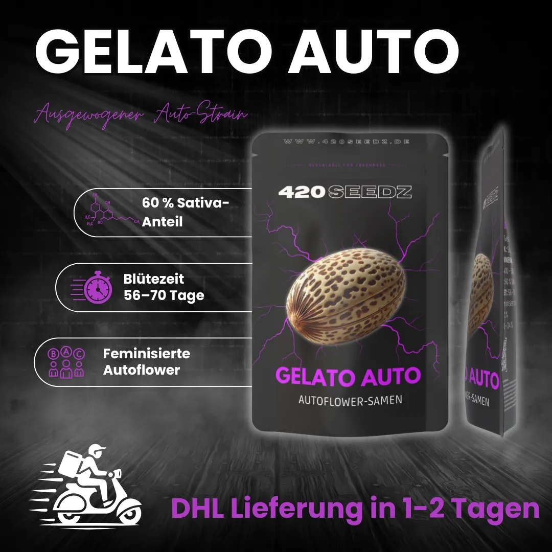 Gelato Auto – Ansicht 6
