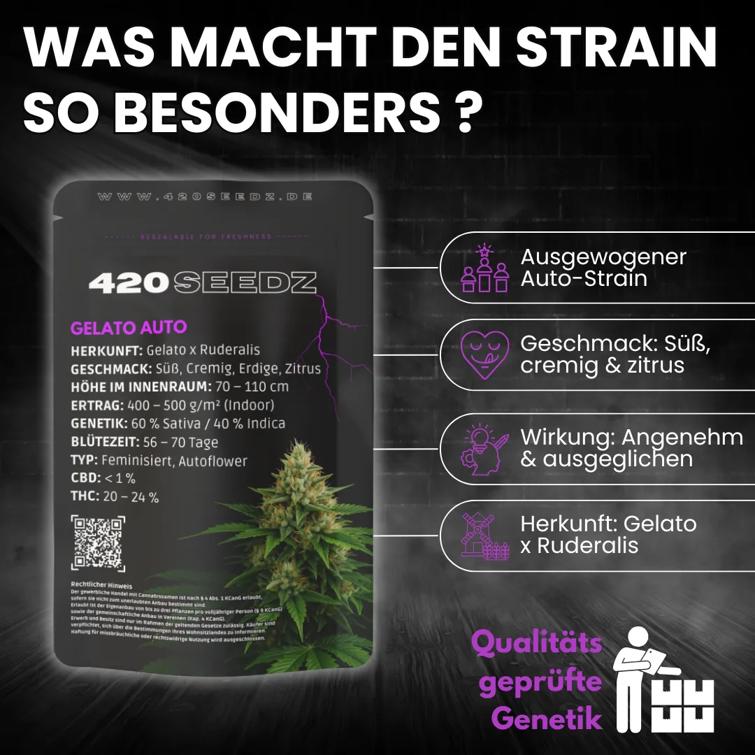 Gelato Auto – Ansicht 8