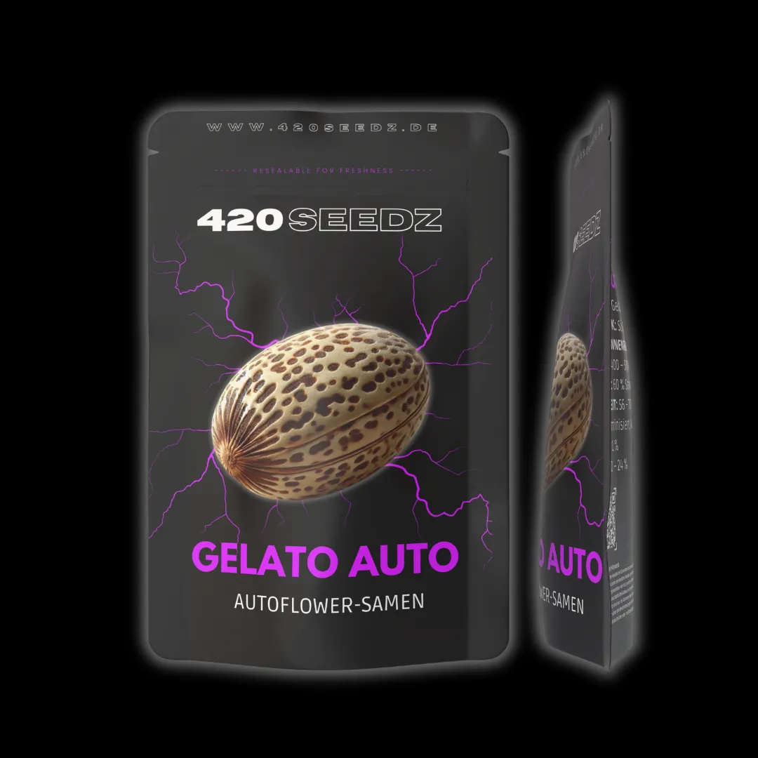 Gelato Auto – Ansicht 9