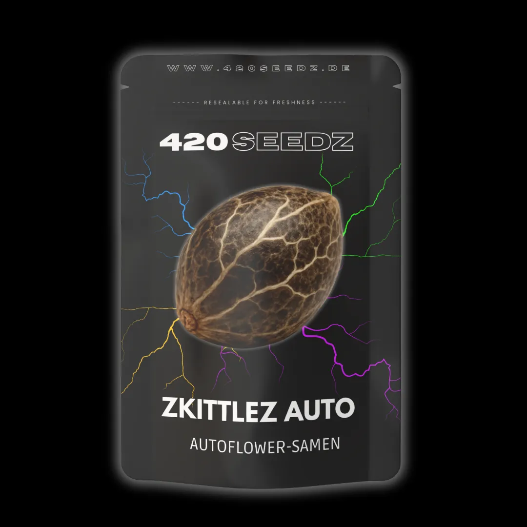 Zkittlez Auto – Ansicht 2