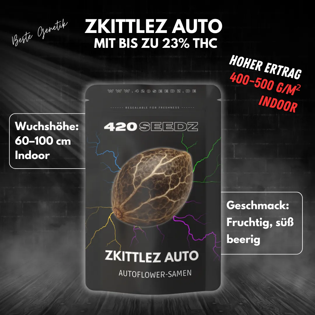 Zkittlez Auto – Ansicht 4