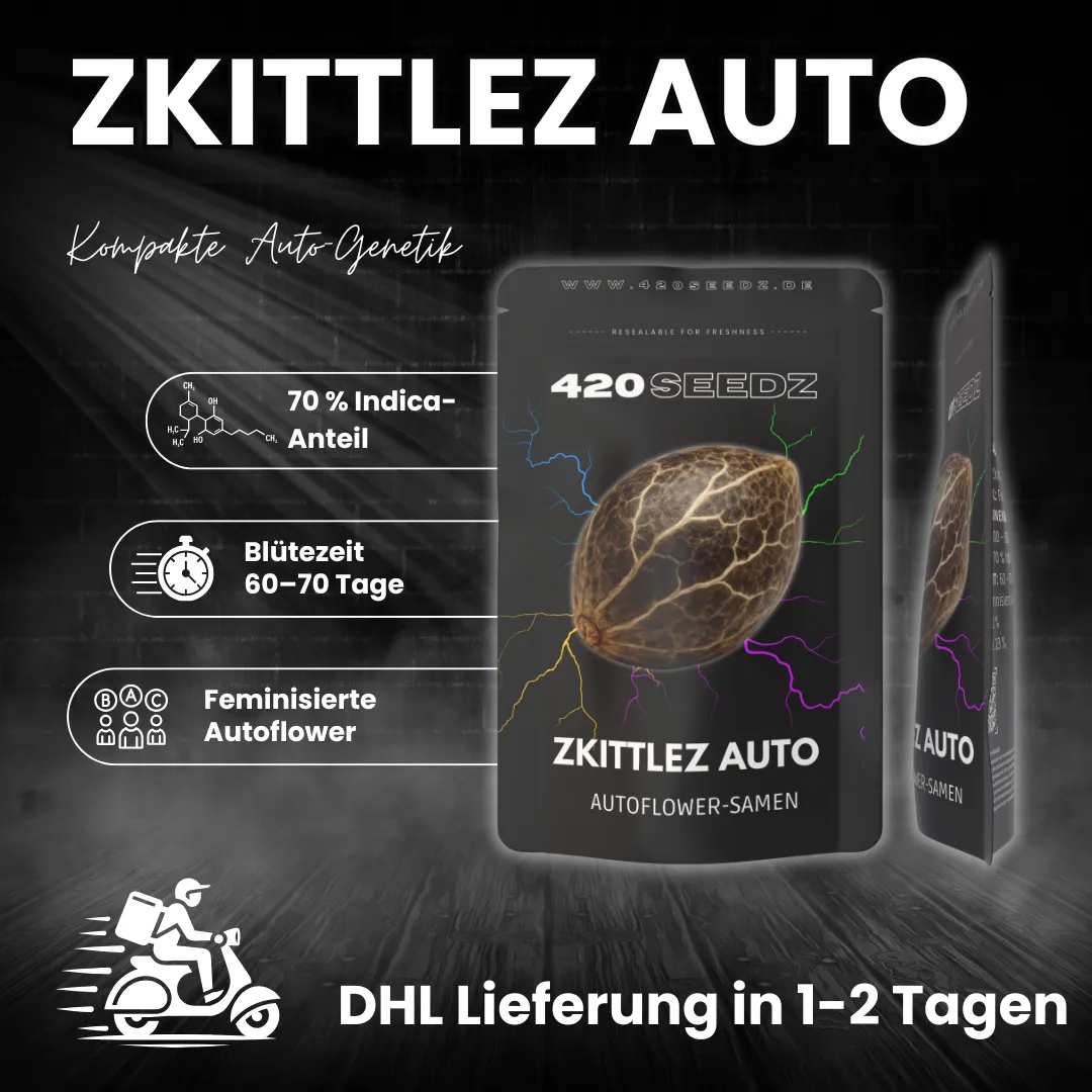 Zkittlez Auto – Ansicht 5